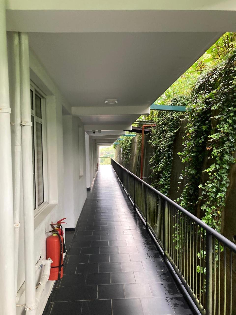 Growing Beyond Apartment *