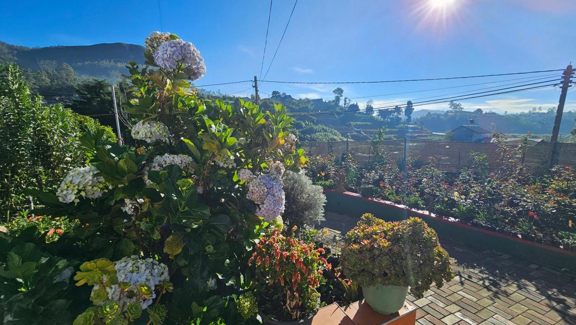 Guest house Aurora Nuwara Eliya
