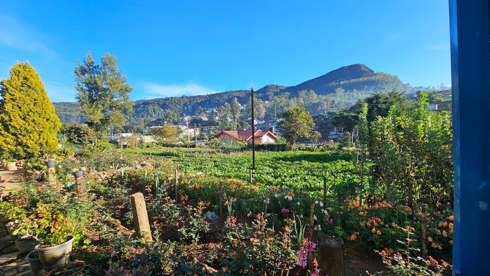 Guest house Aurora Nuwara Eliya