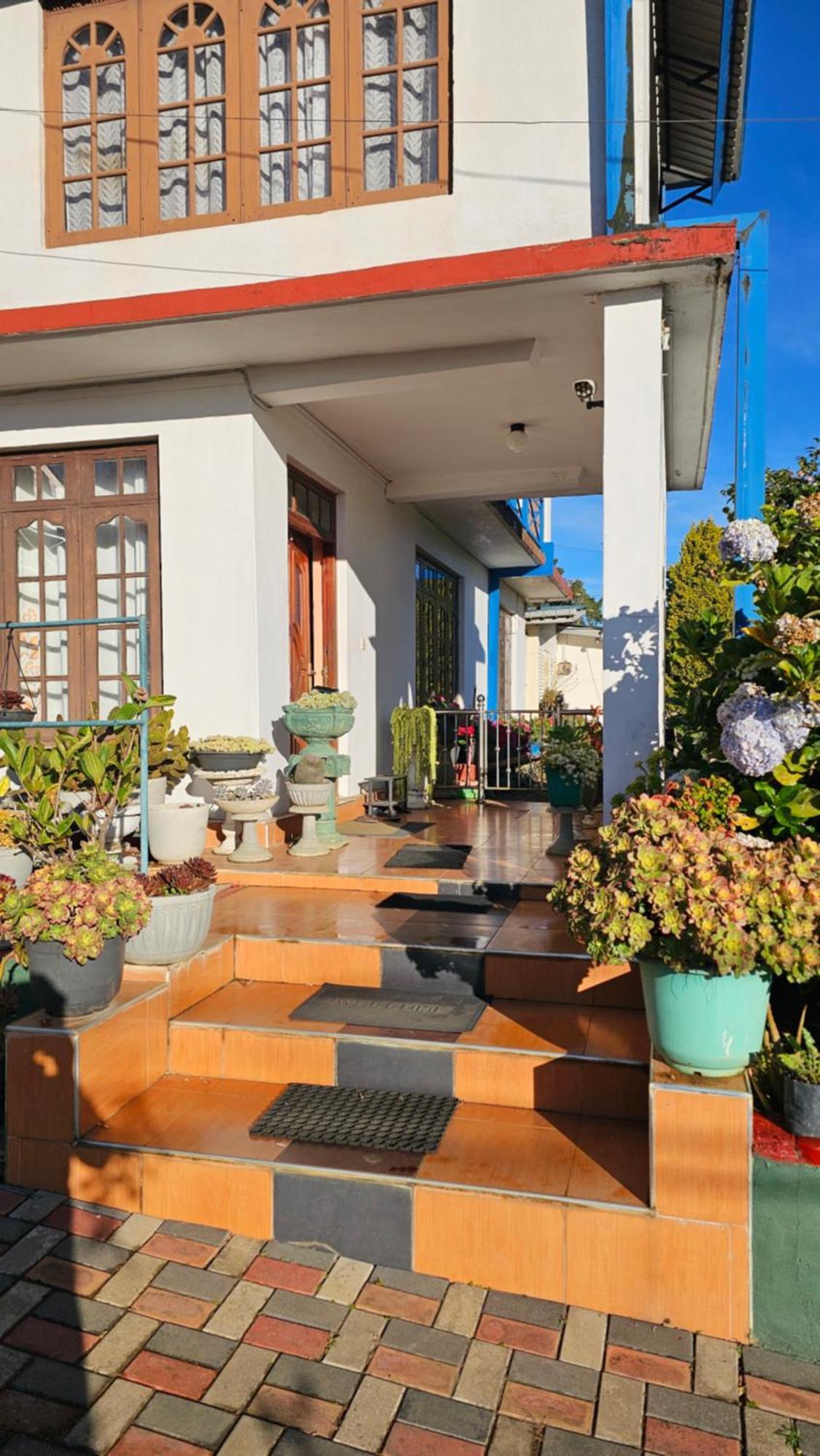 Guest house Aurora *