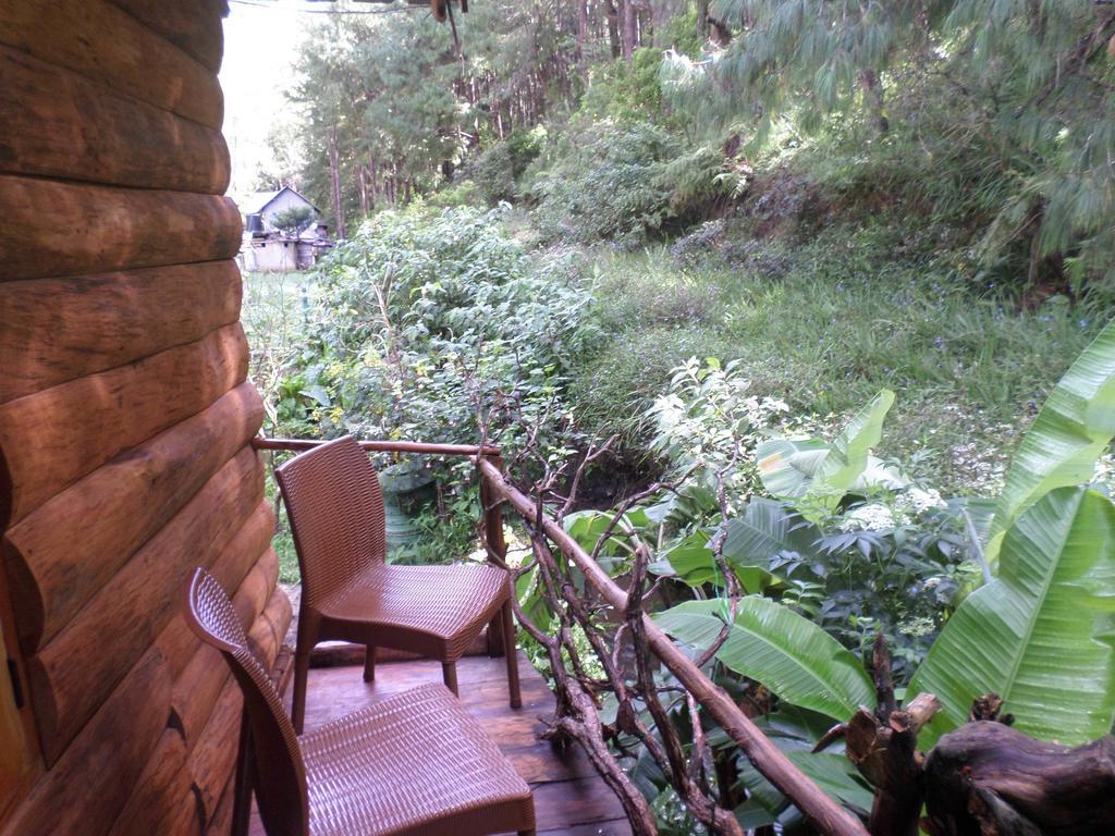 Chalet Moon Plains Forest Log Nuwara Eliya