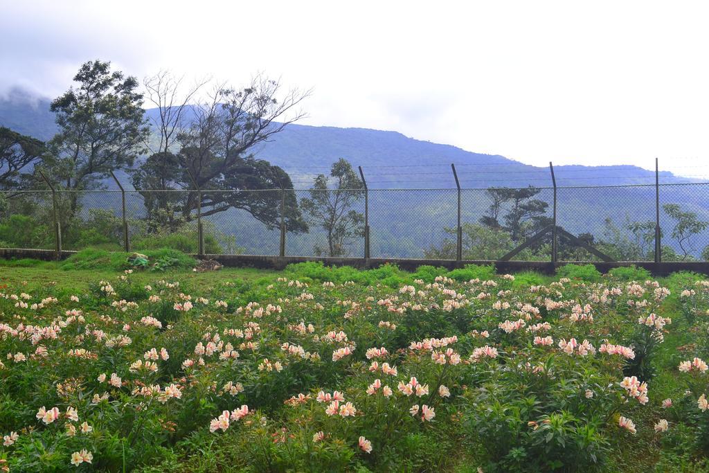 Sky Breeze Nuwara Eliya, Sri Lanka Nuwara Eliya