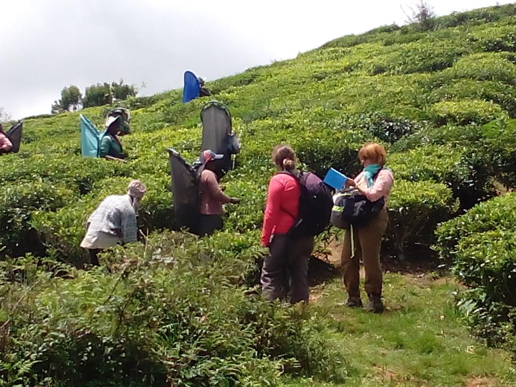 View Nuwara Eliya