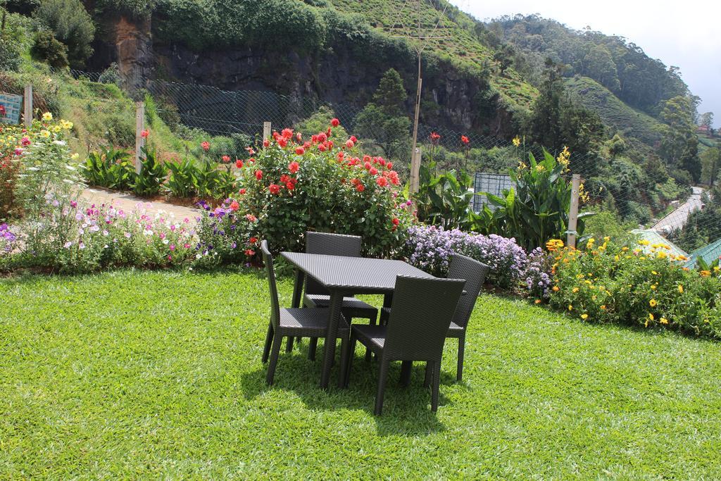 Serene Hotel 5*