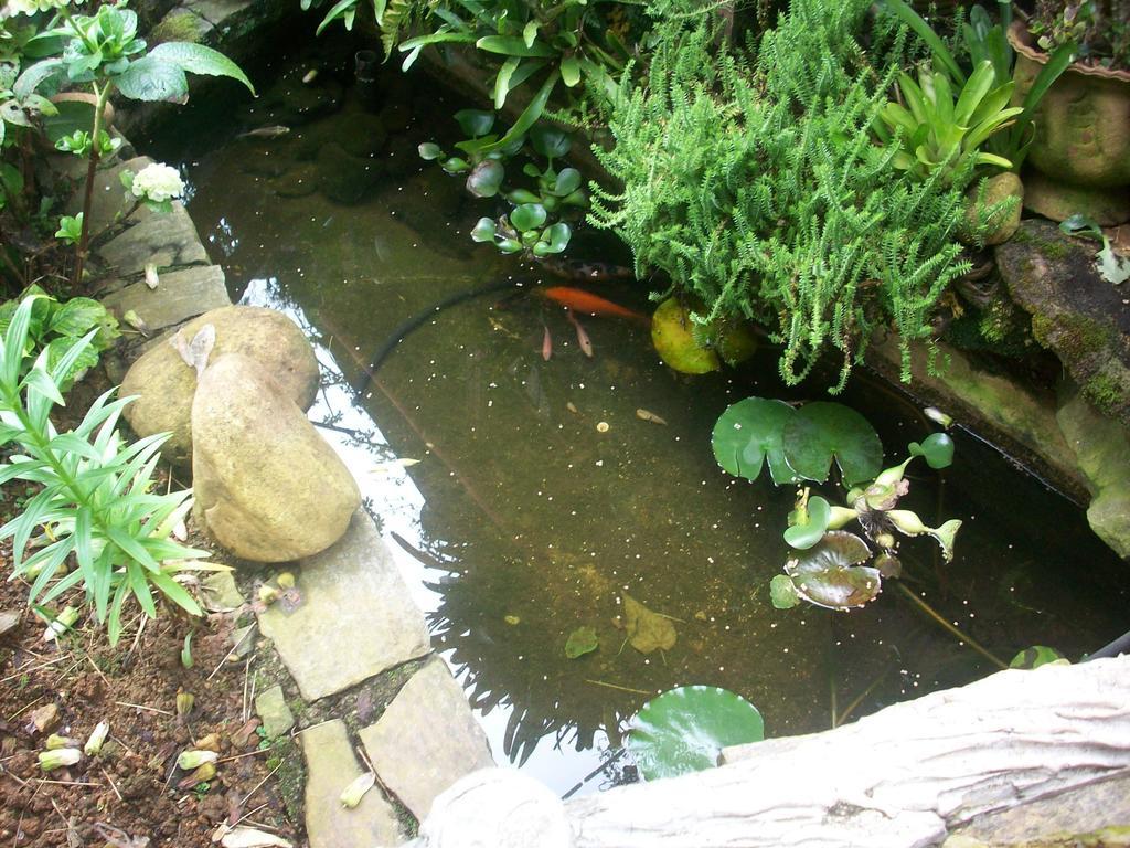 Redwood Inn Nuwara Eliya