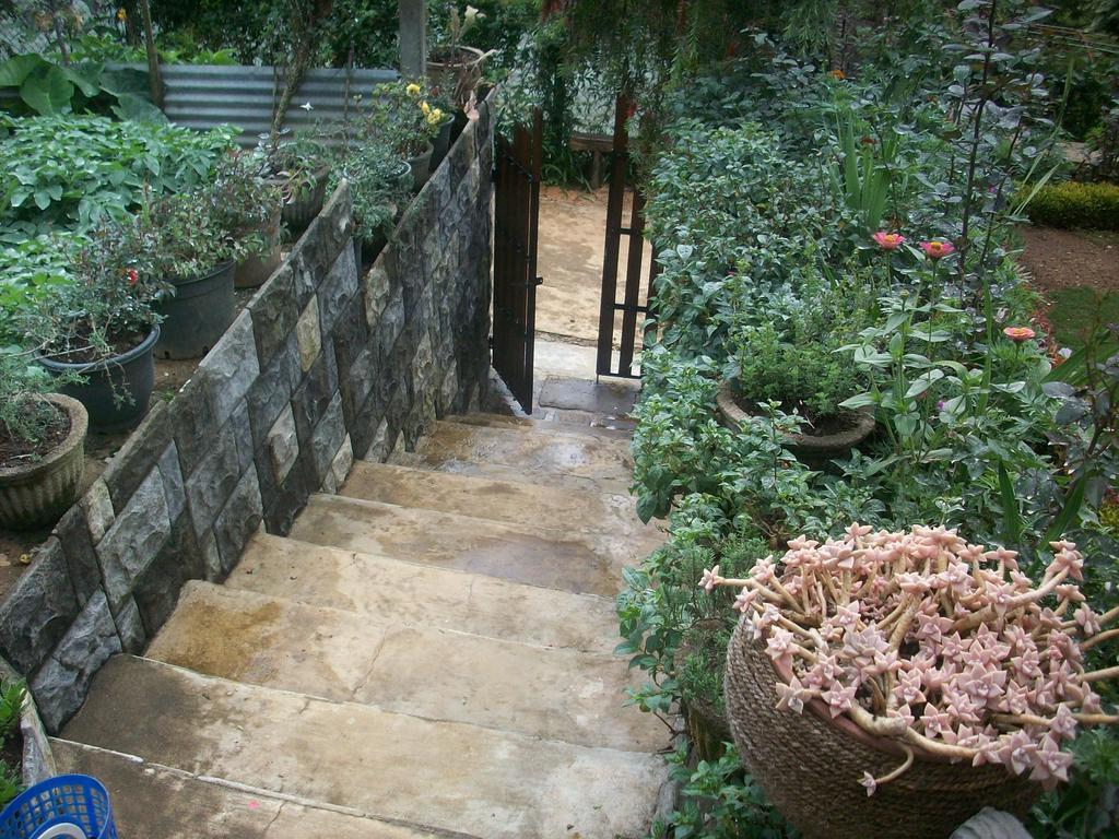 Redwood Nuwara Eliya