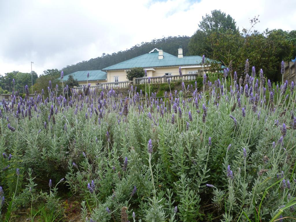 Senani Colonial Villa Nuwara Eliya
