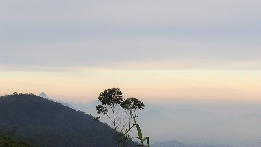 Thuring's * Nuwara Eliya