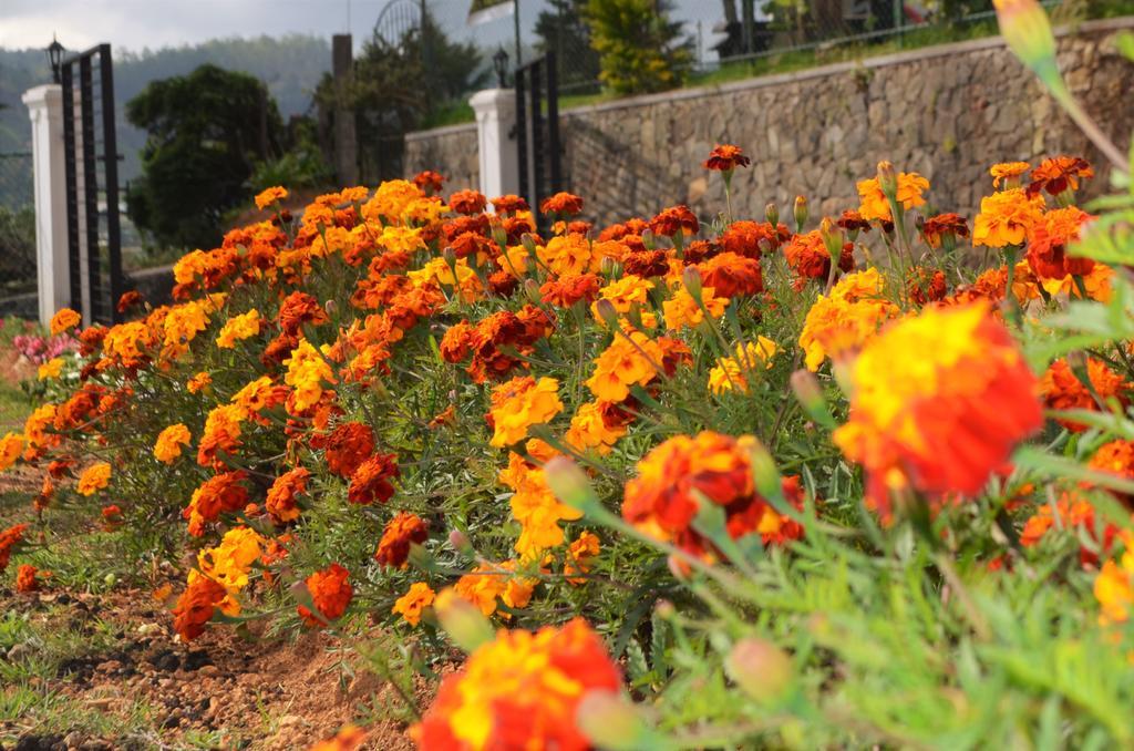 Thuring's * Nuwara Eliya
