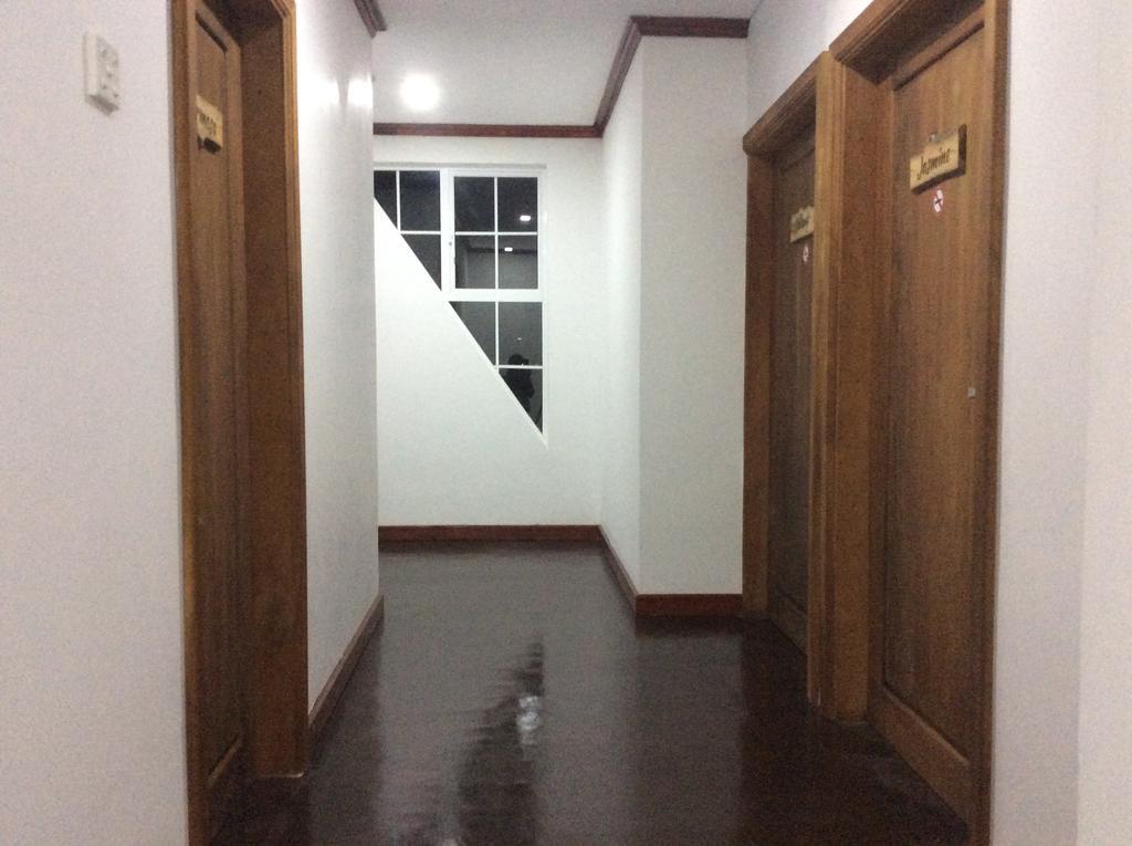 Tealeaf Nuwara Eliya