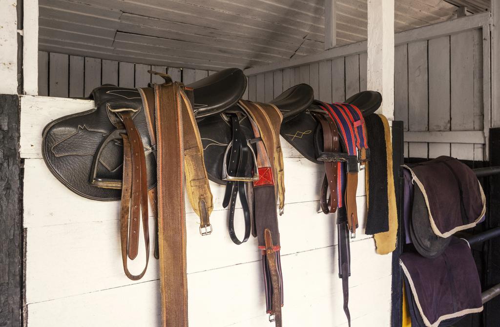 Hill Rise Luxury & Stables By Edwards Collection