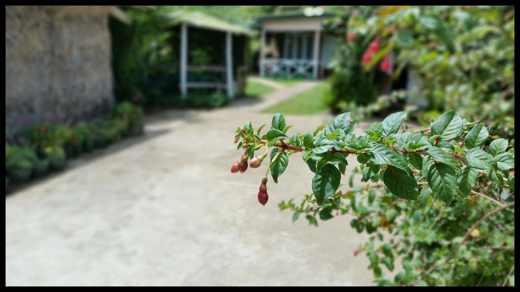 Guest house Happy Holiday