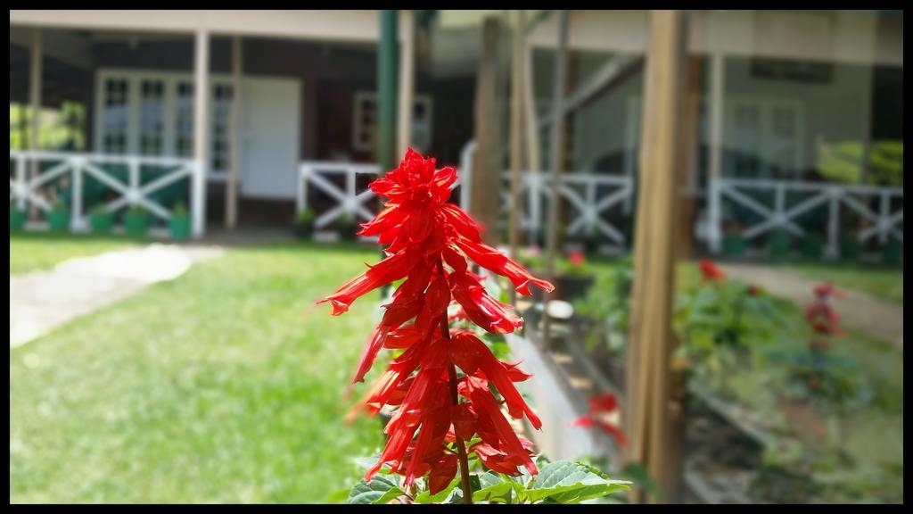 Guest house Happy Holiday