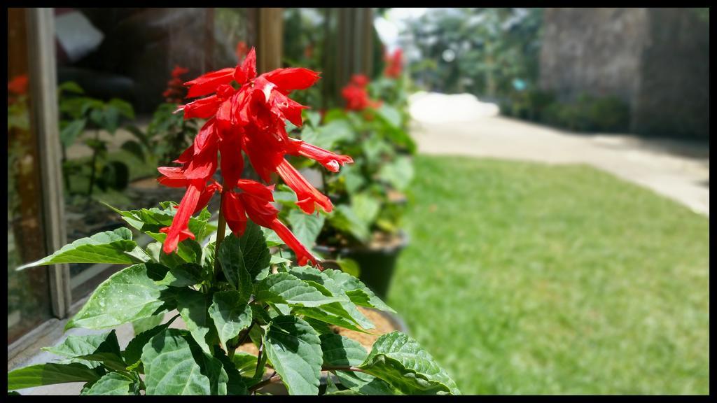 Happy Holiday Nuwara Eliya