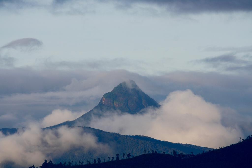 Singha Sanasa Luxury Nuwara Eliya