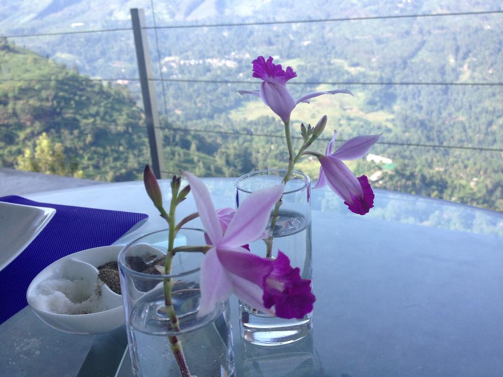 Singha Sanasa Luxury * Nuwara Eliya