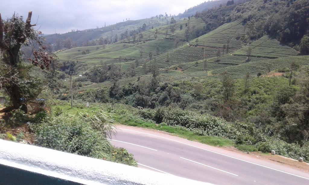 Cool Mount Guest Homestay Nuwara Eliya