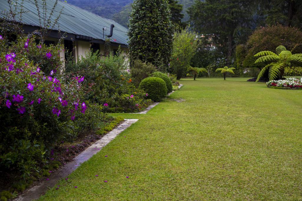 Ferncliff Bungalow Guest house Nuwara Eliya