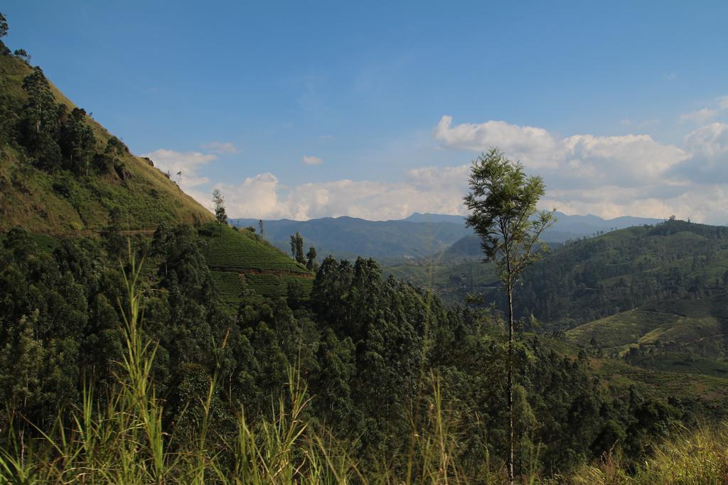 Cool Mount Guest Homestay Nuwara Eliya