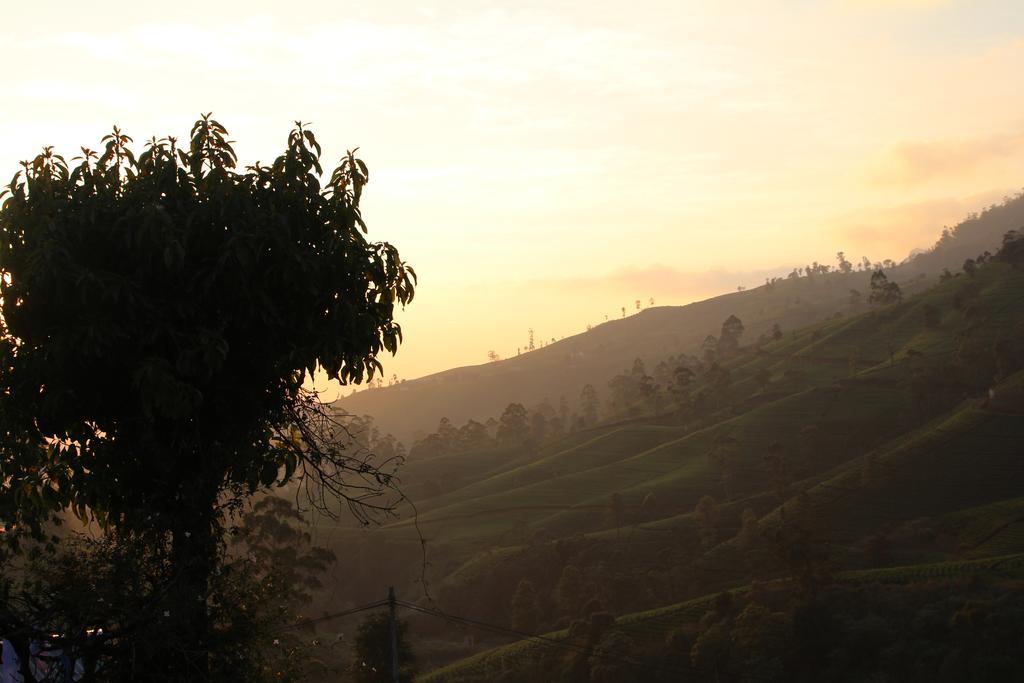 Homestay Cool Mount Guest