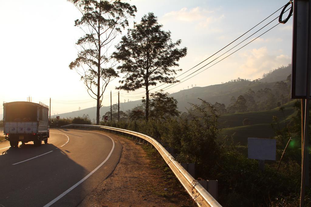 Homestay Cool Mount Guest