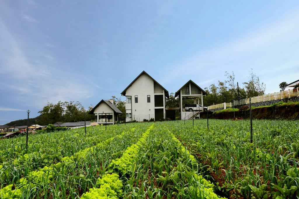 The Fern Cove Guest house 3*