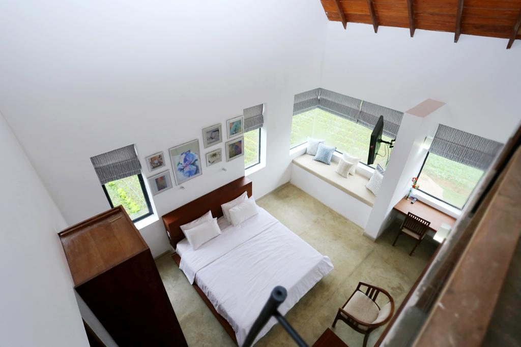 The Fern Cove Guest house
