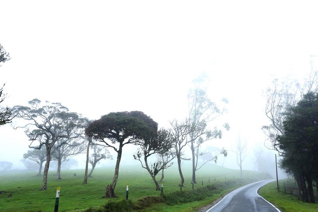 The Fern Cove Guest house Nuwara Eliya