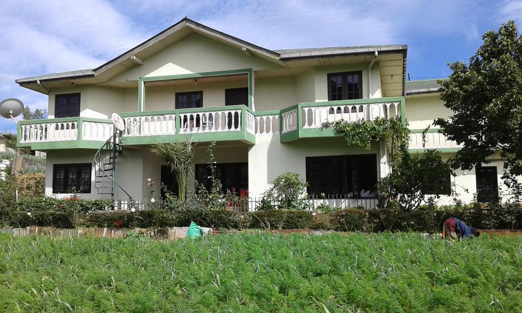 Homestay Avon Field *