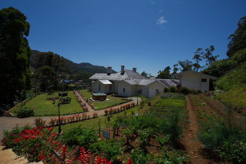 Serene 5* Nuwara Eliya