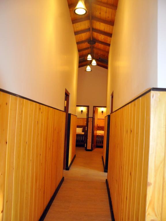 New Tour Guest house *