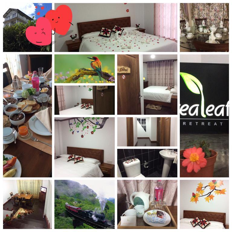 Bed & Breakfast Tealeaf *