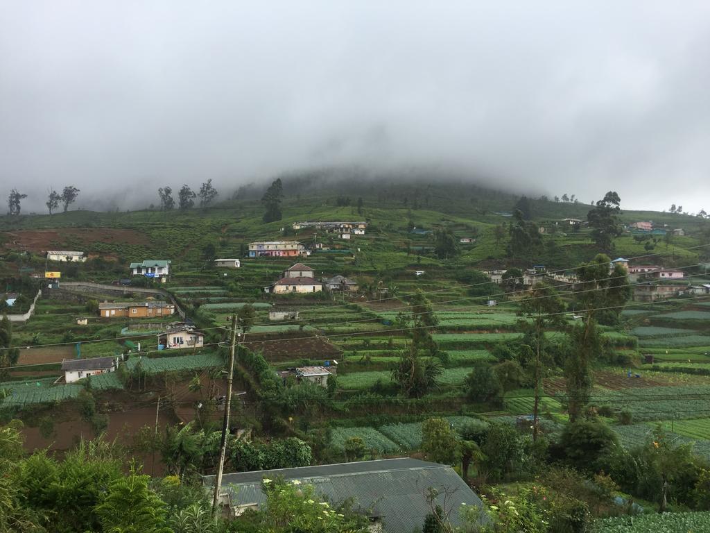 Perera