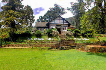 Scottish Planter Bungalow- Thema Collection *