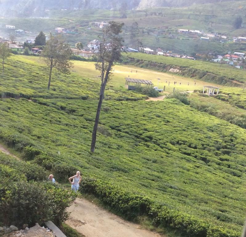 Tealeaf *