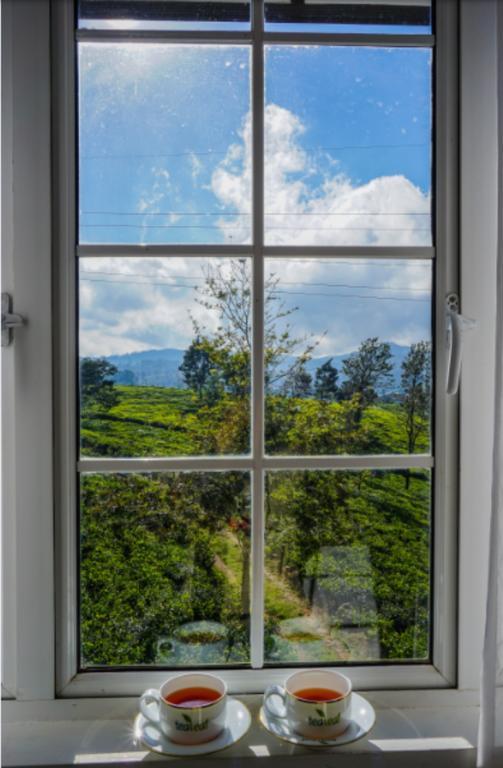 Bed & Breakfast Tealeaf Nuwara Eliya