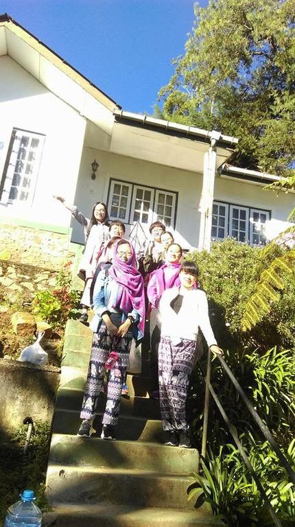 Homestay Crown *
