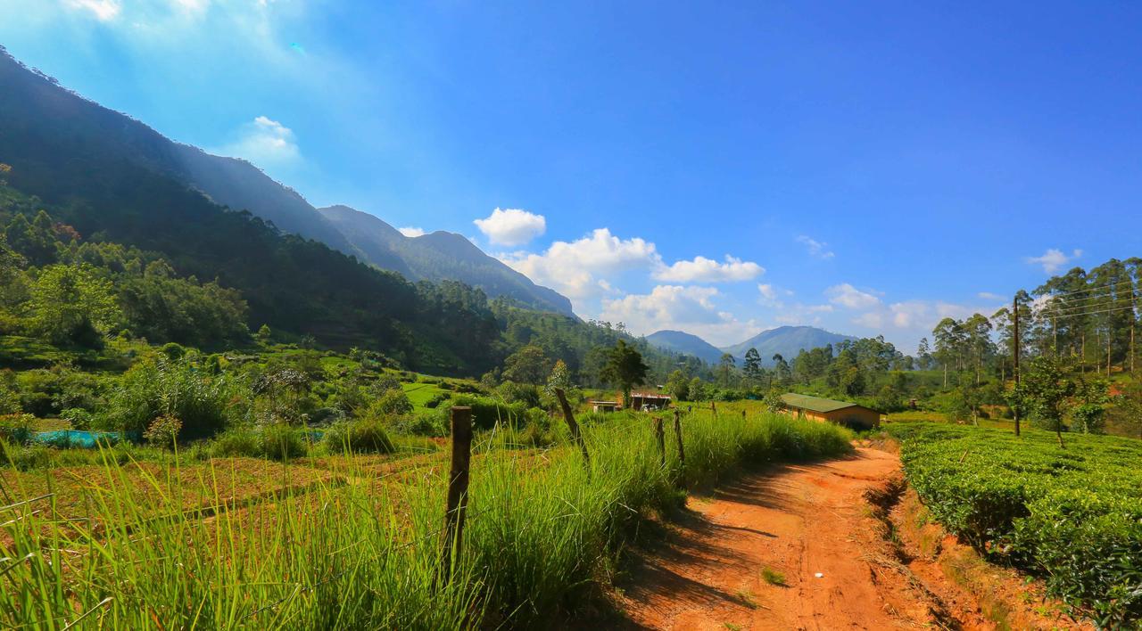 Agarapathana Bungalow *