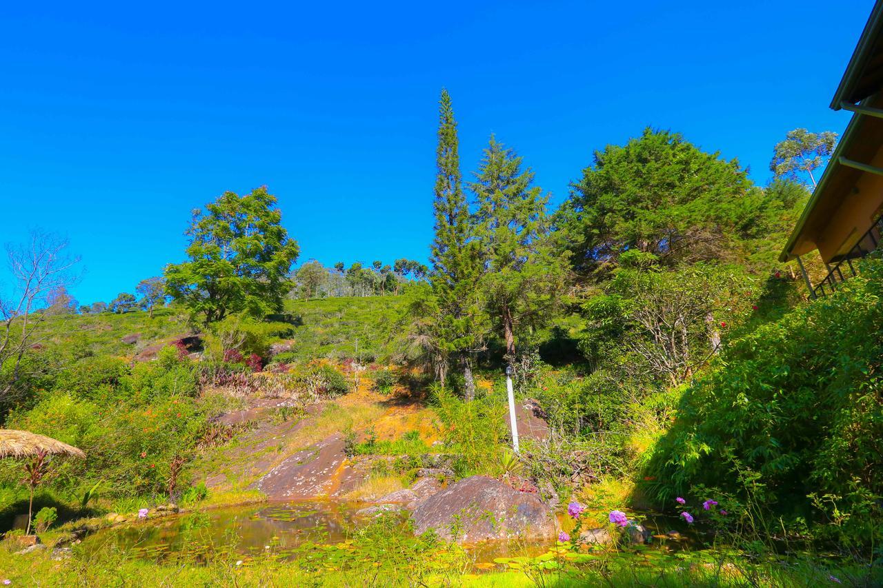 Agarapathana Bungalow * Nuwara Eliya