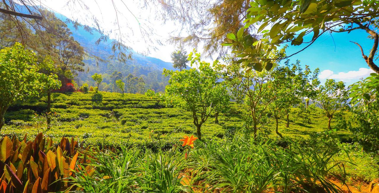Farm stay Agarapathana Bungalow *
