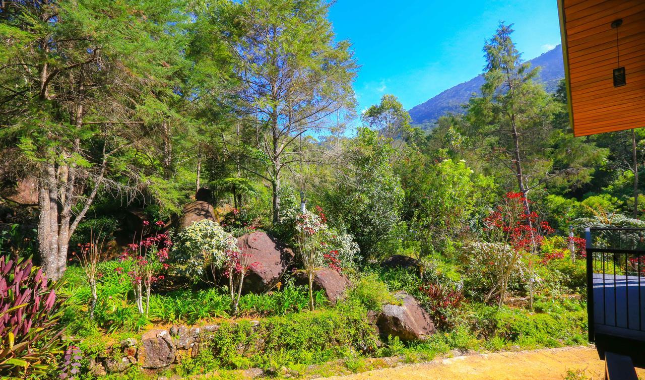 Farm stay Agarapathana Bungalow Nuwara Eliya