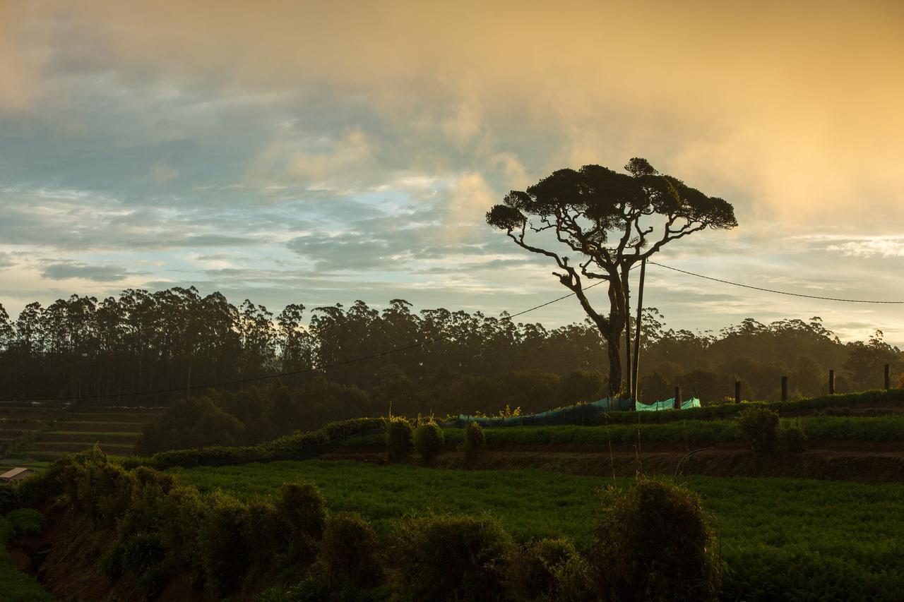 Hotel Grand Camellia Nuwara Eliya