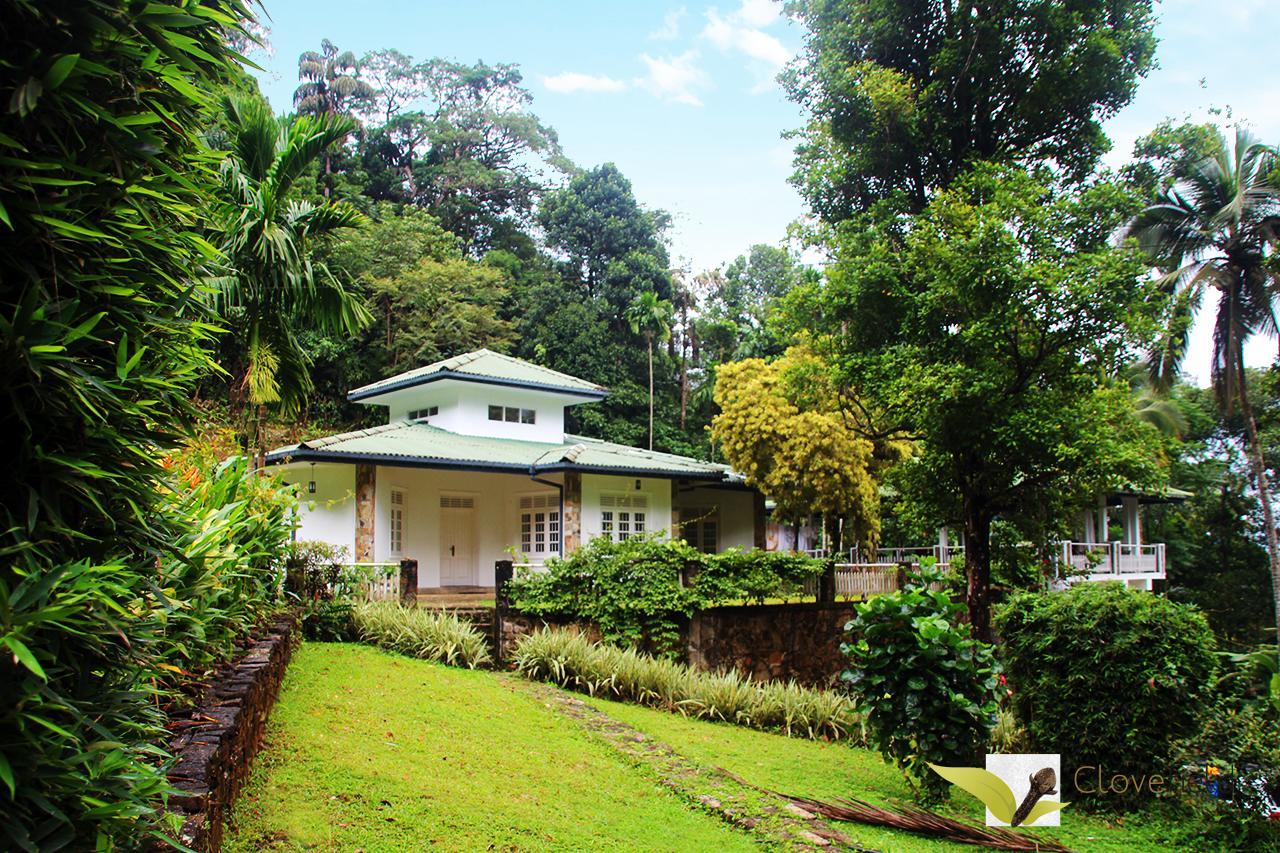 Guest house Clovefield Nuwara Eliya