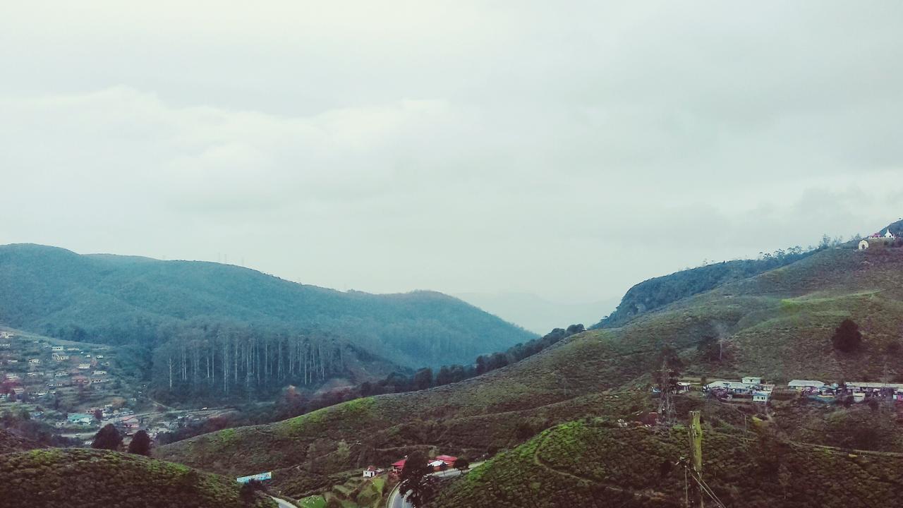 Rosemary Nuwaraelliya Nuwara Eliya