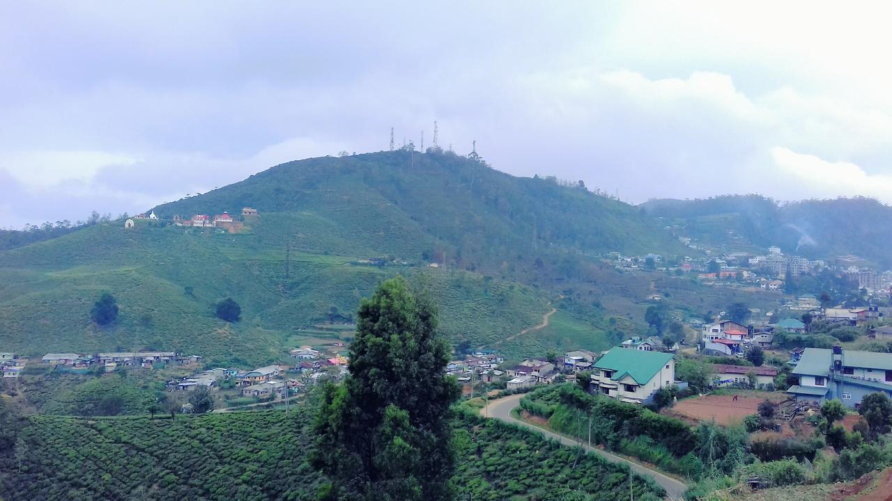 Rosemary Nuwaraelliya Nuwara Eliya