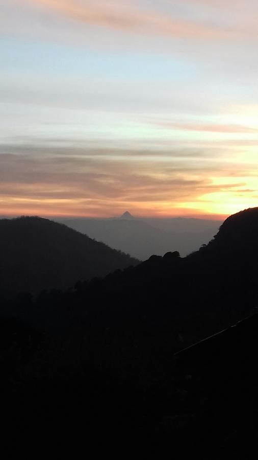 Rosemary Nuwaraelliya * Nuwara Eliya