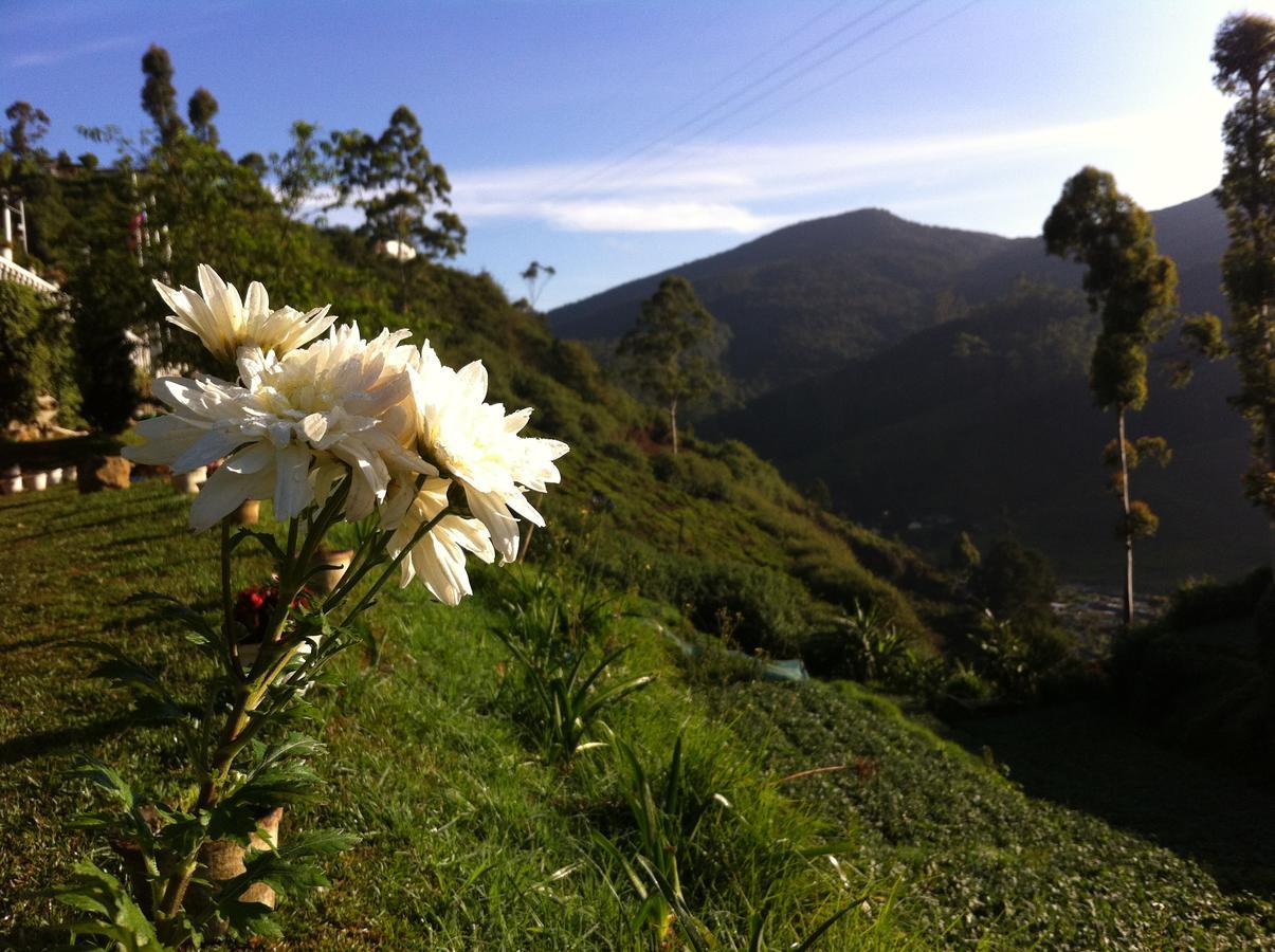 The Farmhouse Nuwaraeliya