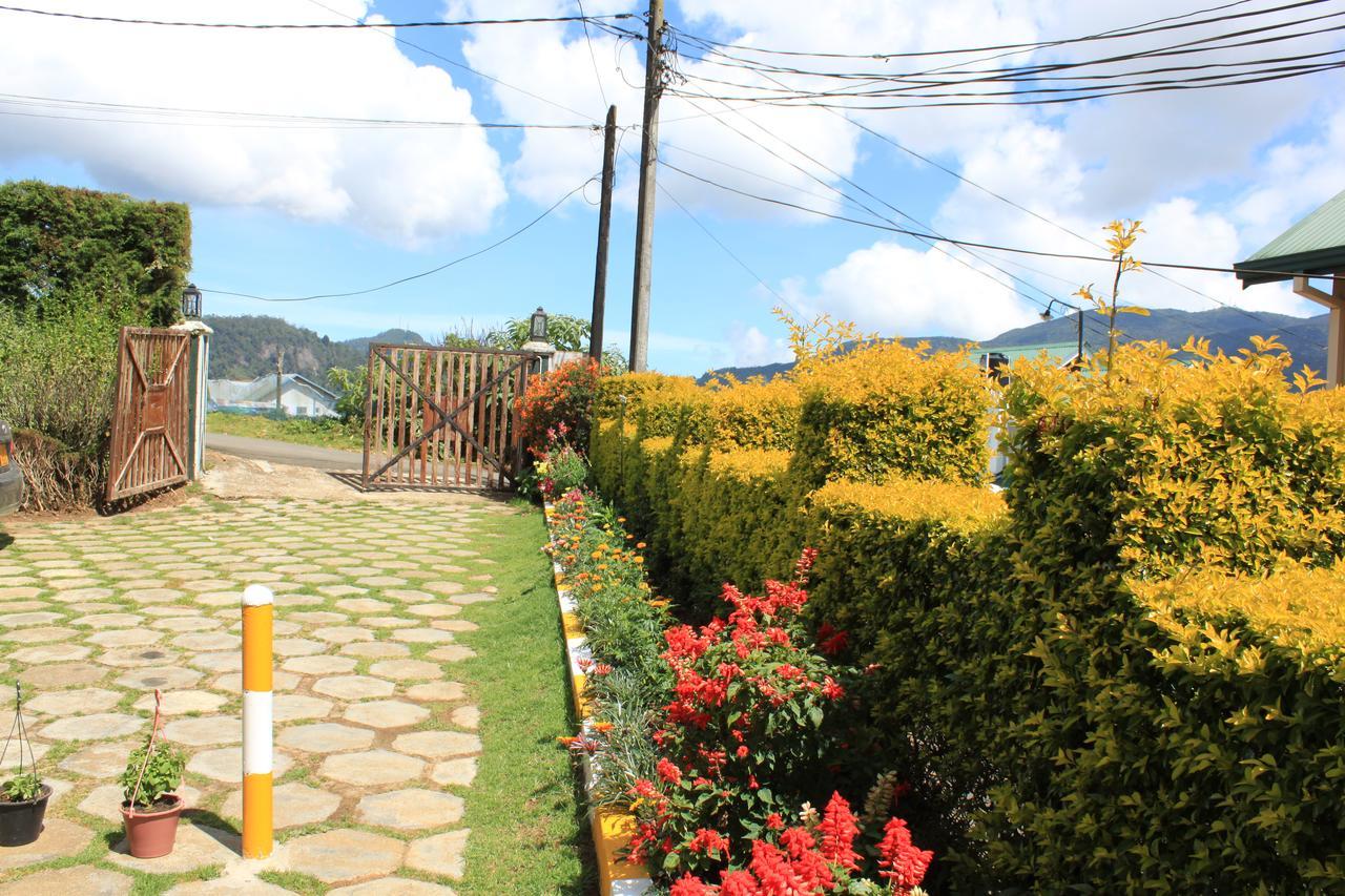 Lady Horton Guest house 2*