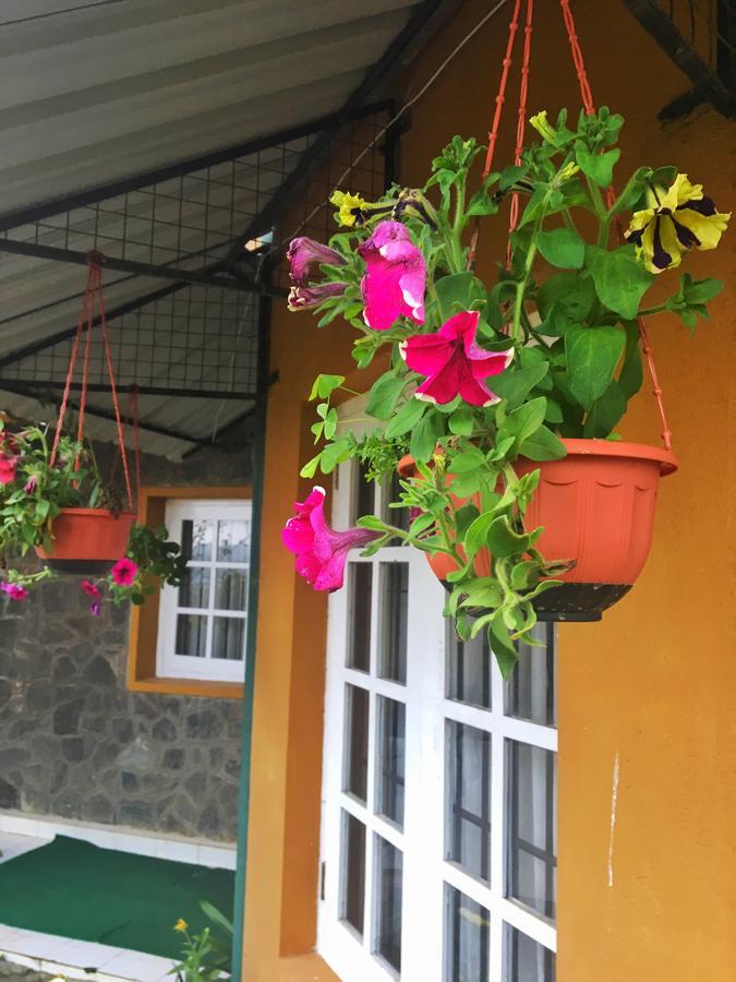 Guest house Lady Horton 2*