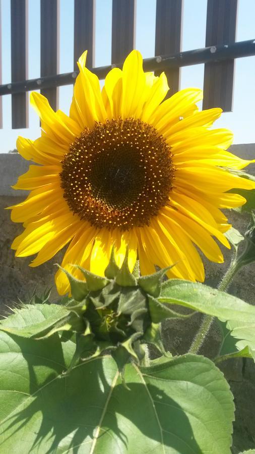 Villa Tranquil - Stunning Views With Free Breakfast *